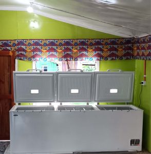 Offgrid Solar System for Ministry of Fisheries in Kia Island